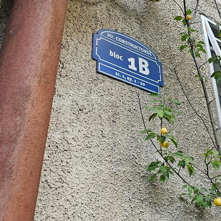 Ferienwohnung Garsoniera Regim Dni Petroşani Exterior foto