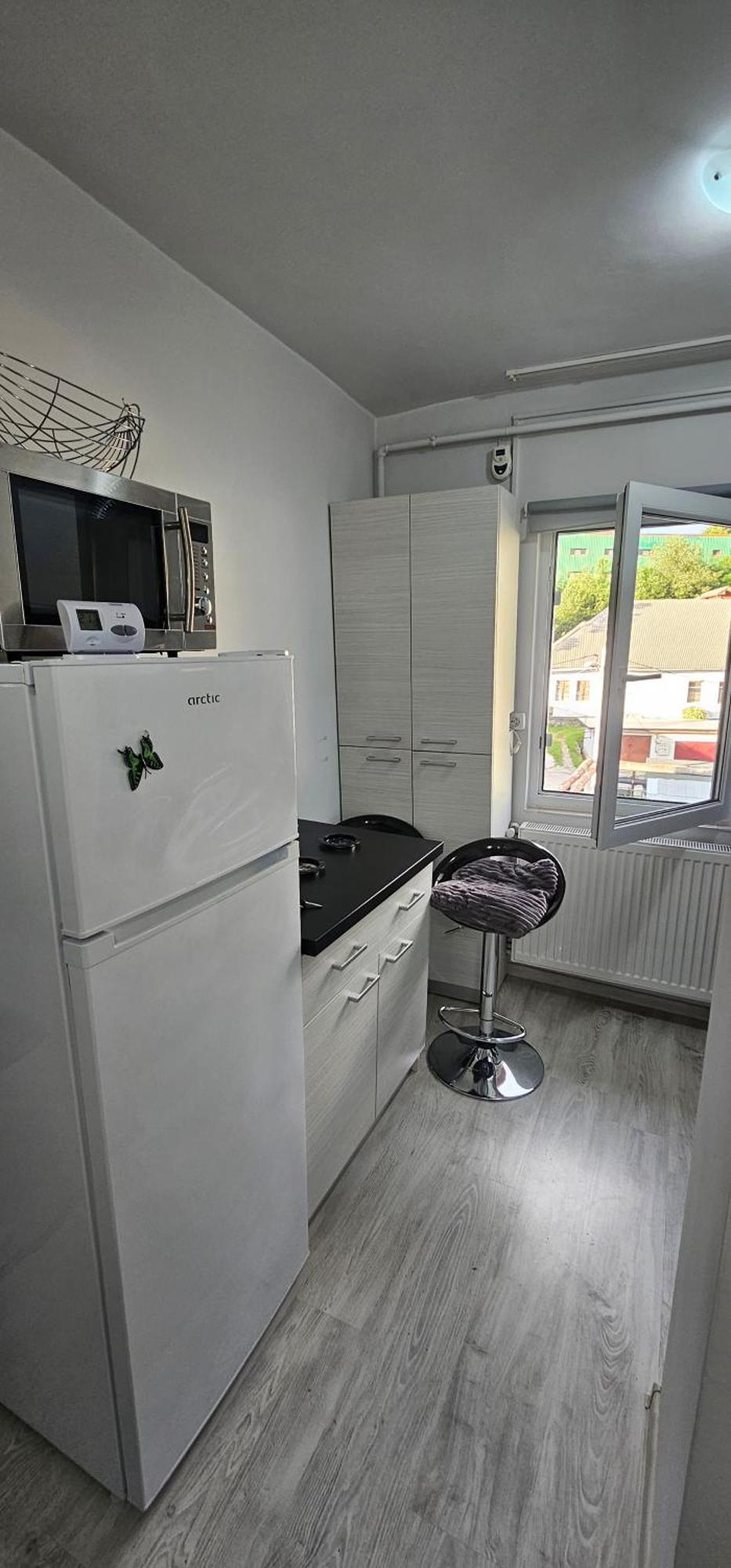 Ferienwohnung Garsoniera Regim Dni Petroşani Exterior foto